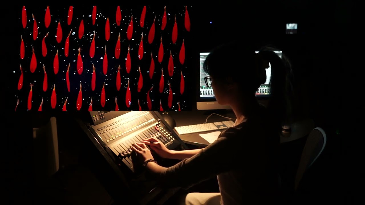 Spatial Sound Composition & Diffusion (SSCAD) - Semester 2, 2022 (Binaural)