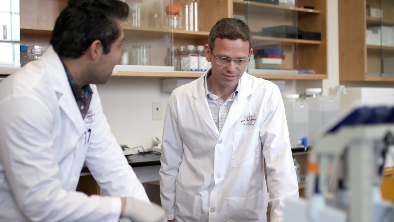 Prof. Thomas Koch: Stem cell research to improve human and animal joint health