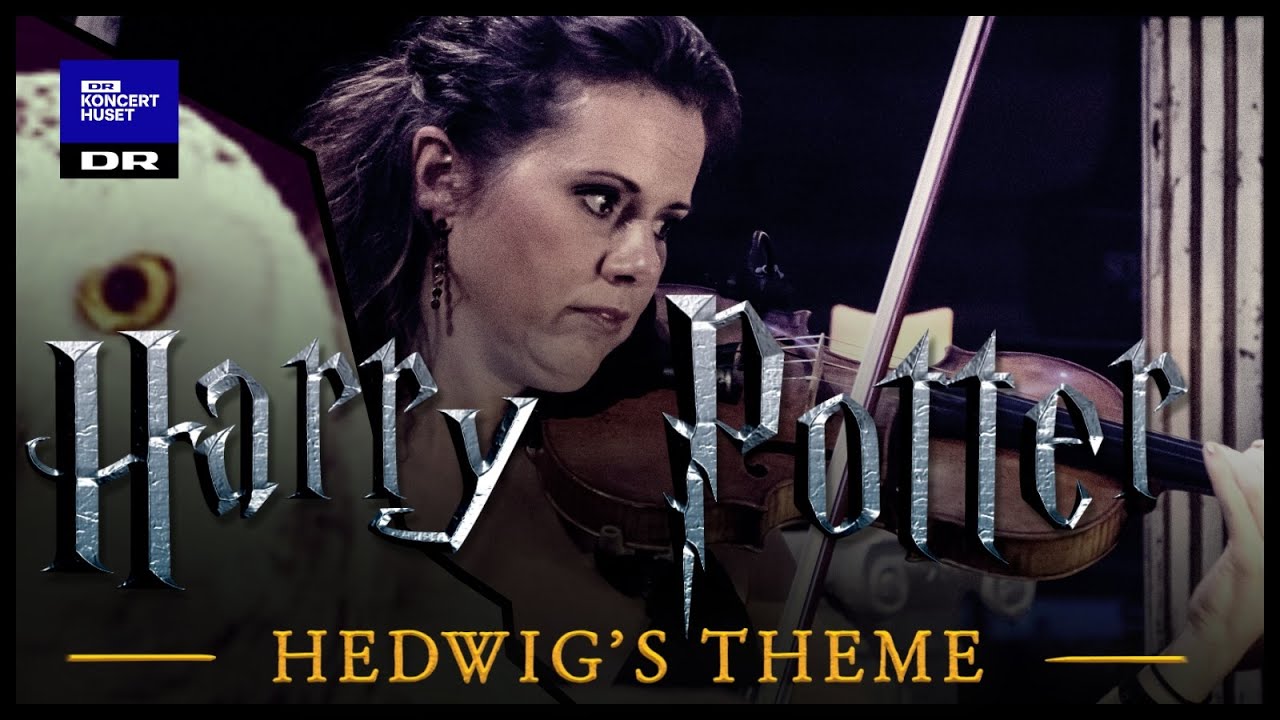 Hedwig's Theme - Harry Potter // Danish National Symphony Orchestra (Live)
