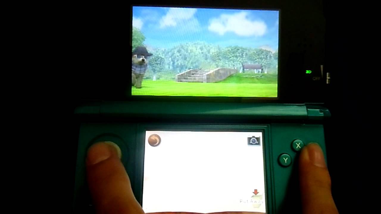 Nintendogs + Cats: Spotpass  6 - Abraham Lincoln