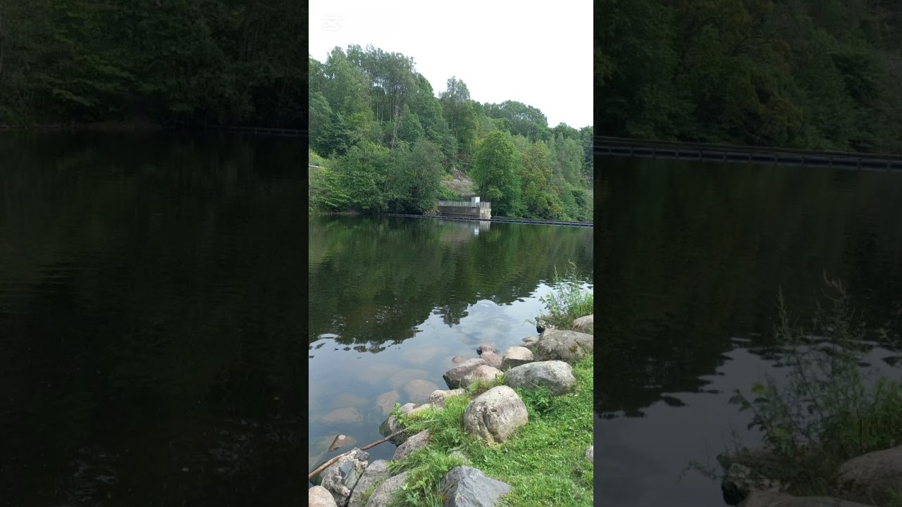 Aly Ginutza si moderatori