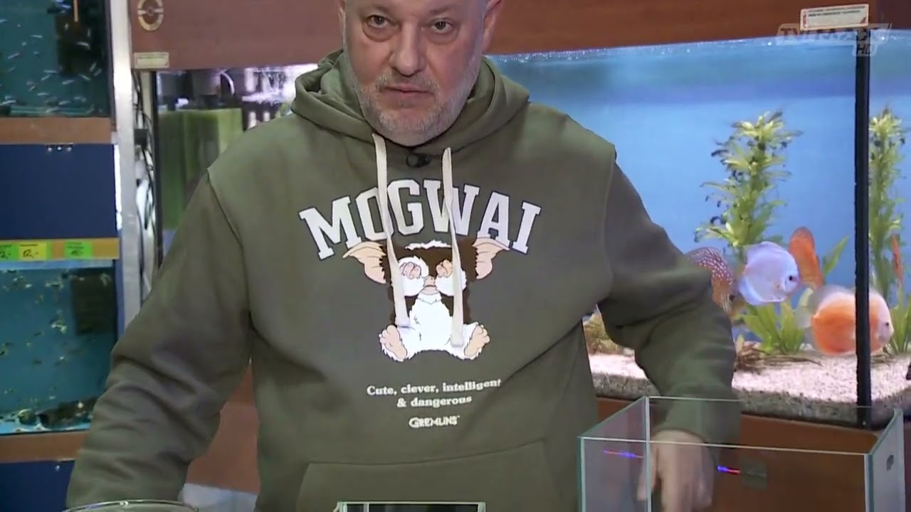 Pierwsze akwarium - jakie wybrać?