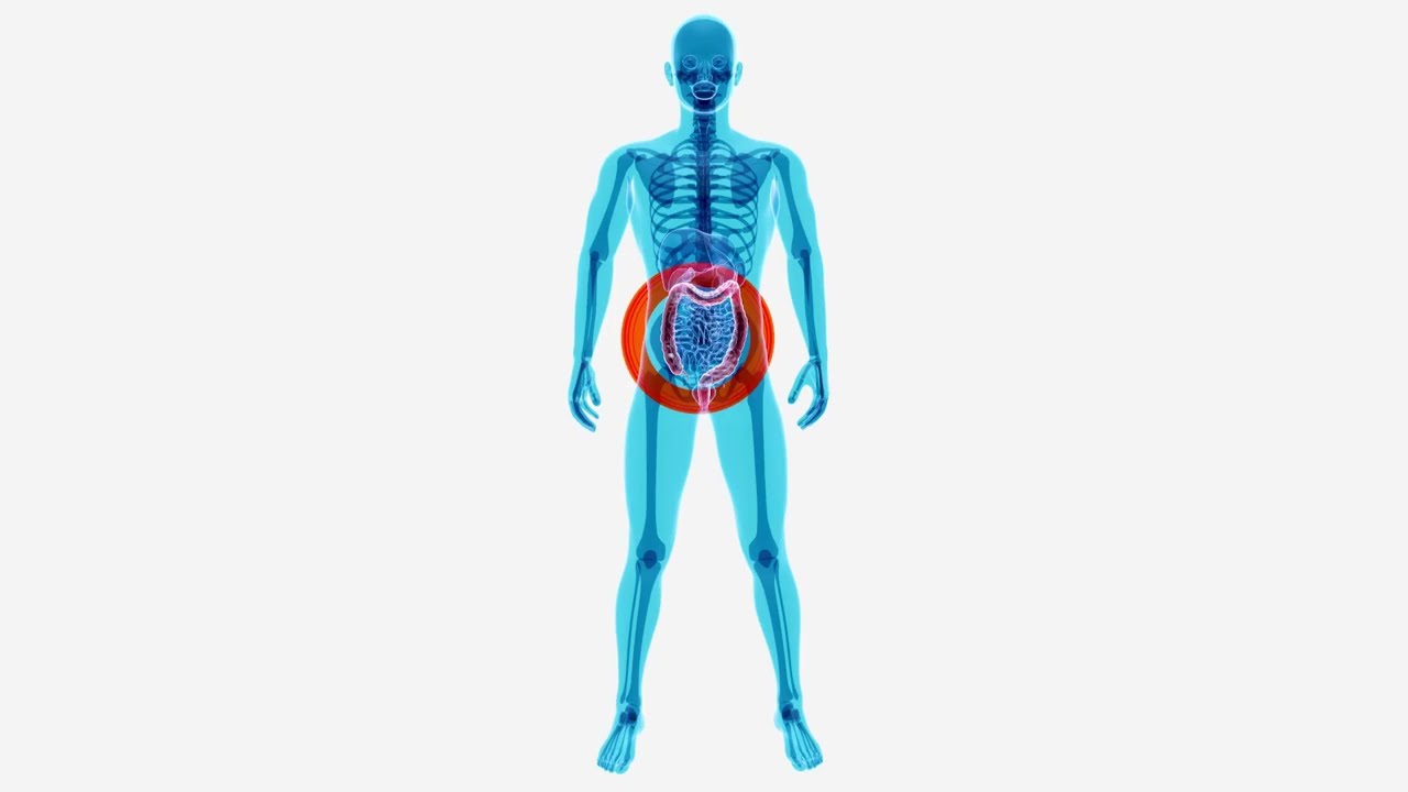 Gastro Health & Nutrition | Your Digestive Health | Houston, Texas
