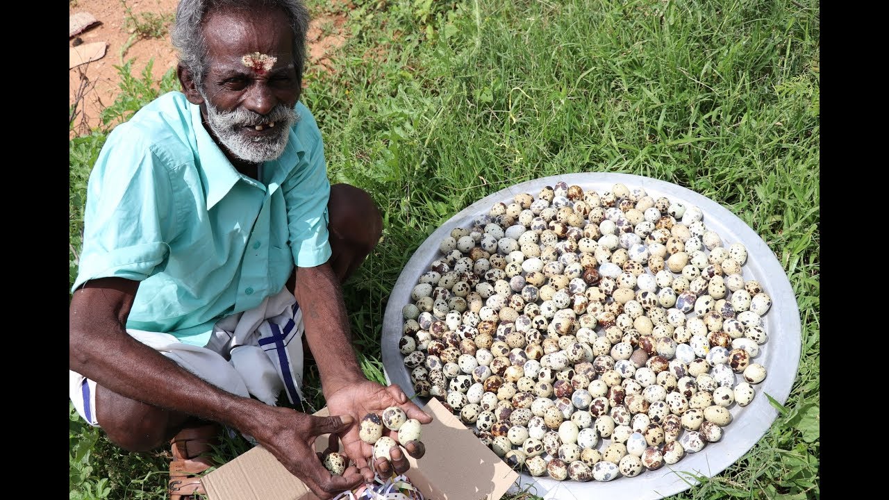 500 Quail eggs Prepared by my Daddy ARUMUGAM / Village food factory