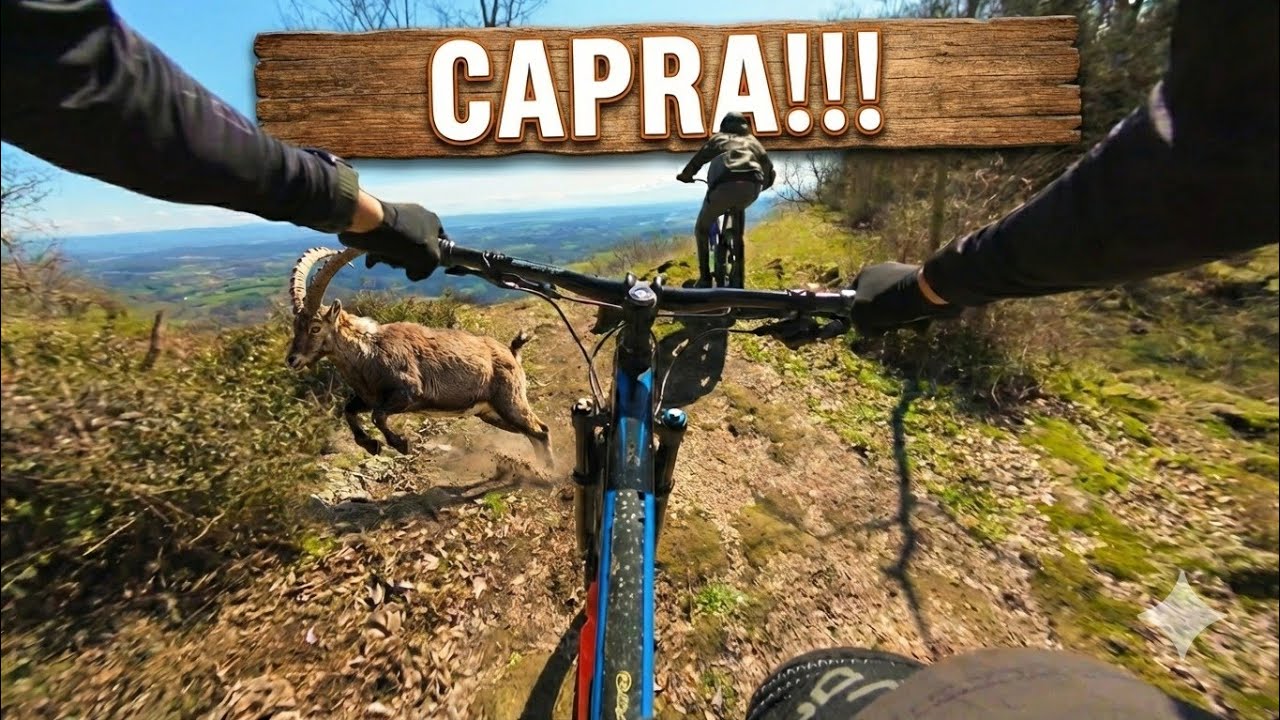 Formello MTB - Capra Trail 2026 - GoPro Hero 6 + Gyroflow