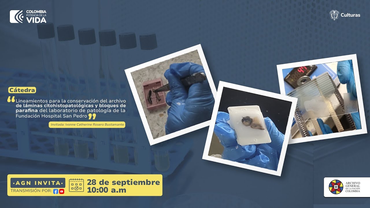 Cátedra AGN - Lineamientos para la Conservación del Archivo de Láminas Citohistopatológicas.