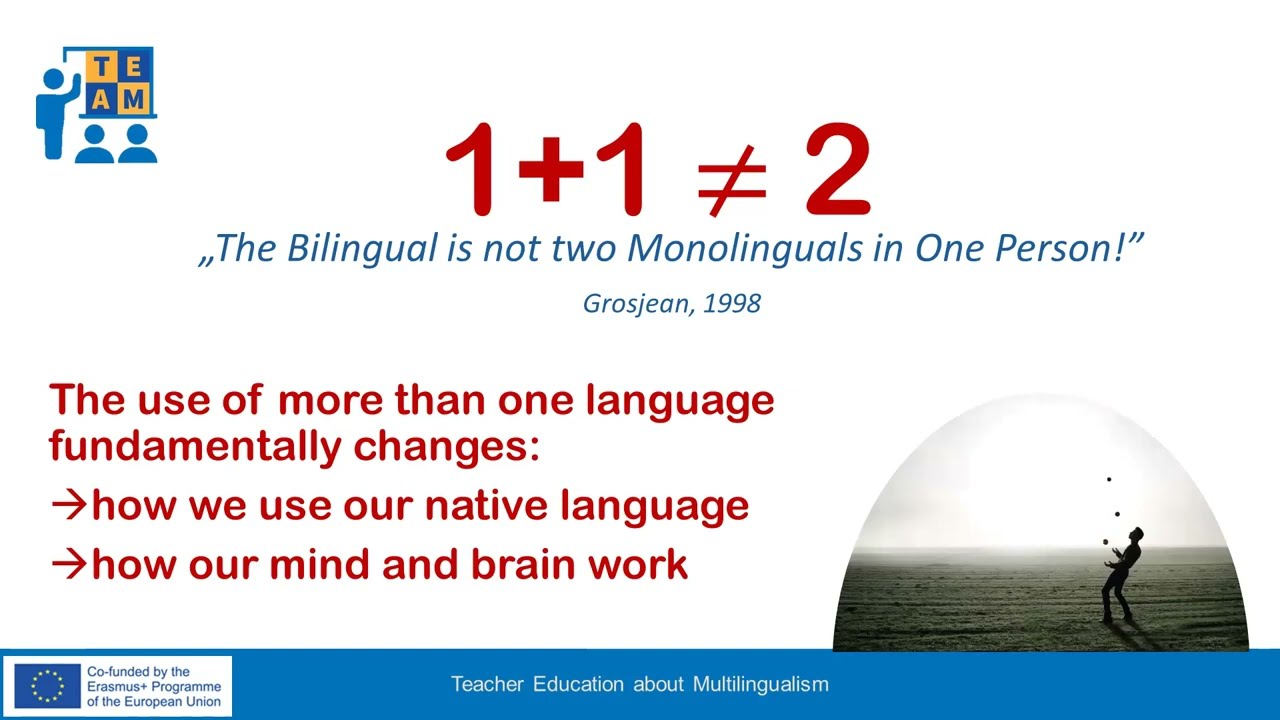 1.2.1 Impact of multilingualism on the native language