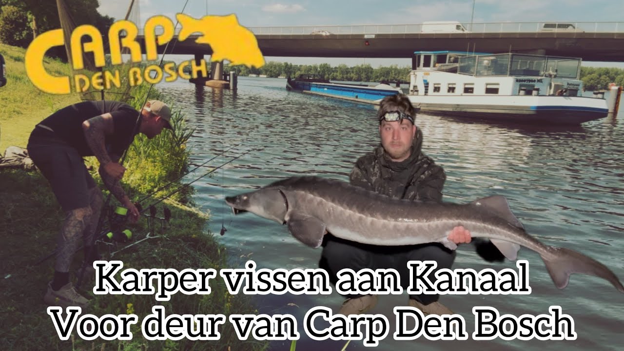 Karpervissen bij Voordeur van Carp Den Bosch - Druk Kanaal - Public Carp Fishing