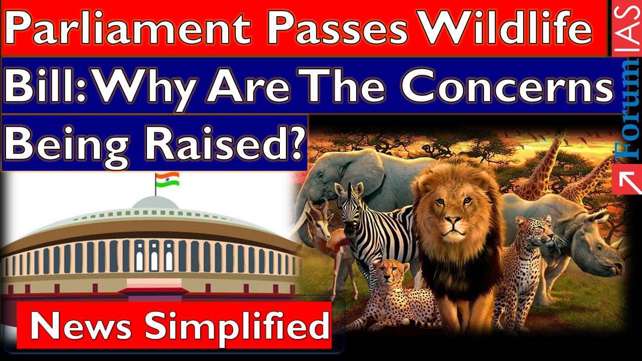 Parliament Passes Wildlife Bill: Why Are The Concerns Being Raised?|  Forum IAS | News Simplified |