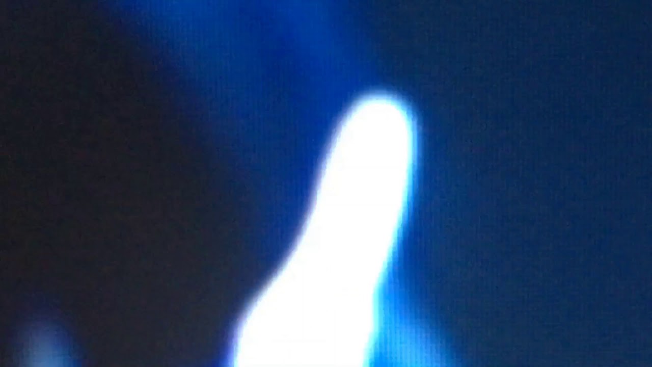 Forest Management - The Blue Light Blues