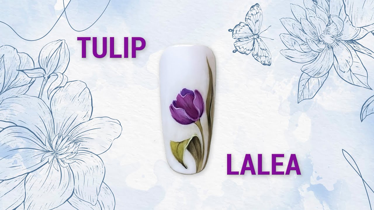 Tulip/Lalea