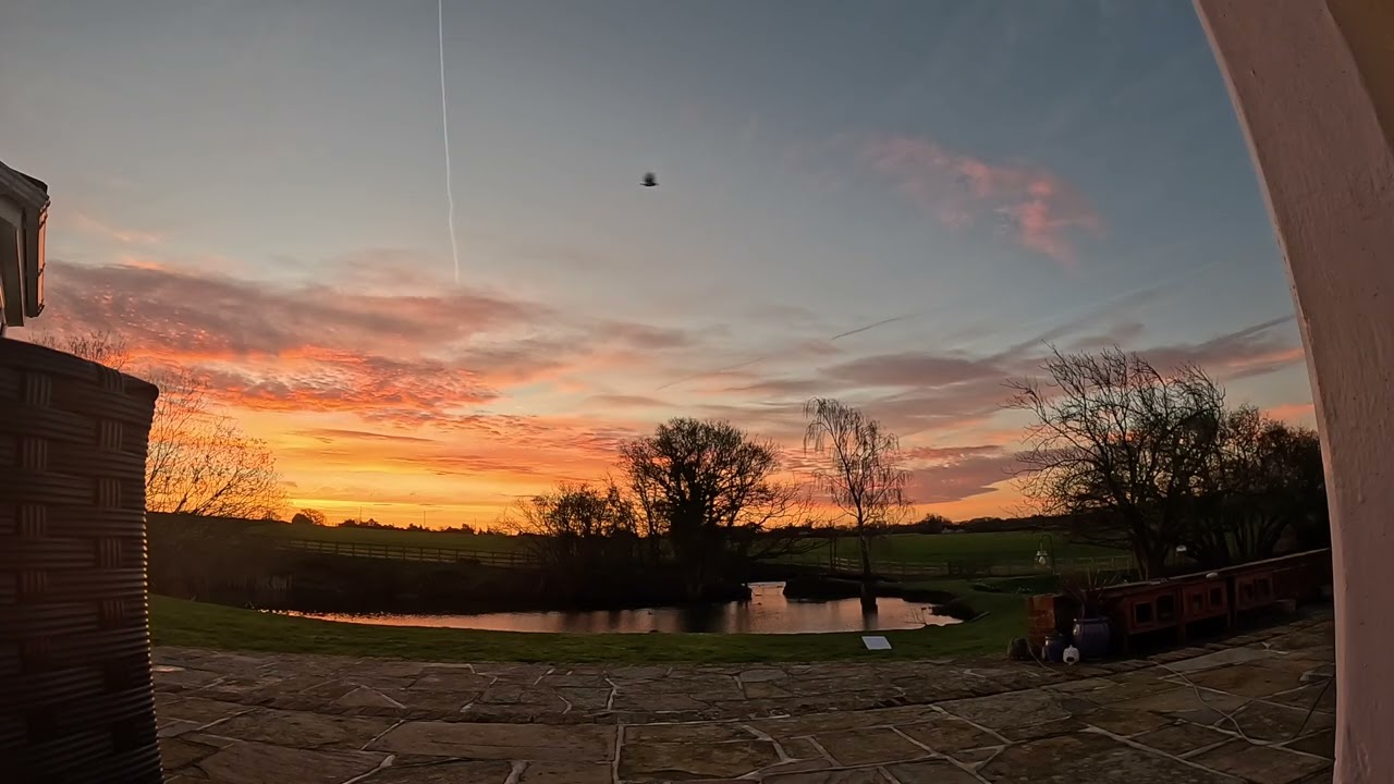 Sunrise ☀️ Ducks, Birds Pond & Soft Nature Sounds. ASMR. No Loop.