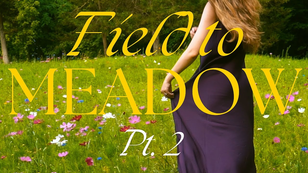 The Wild Flower Project | Pt. 2