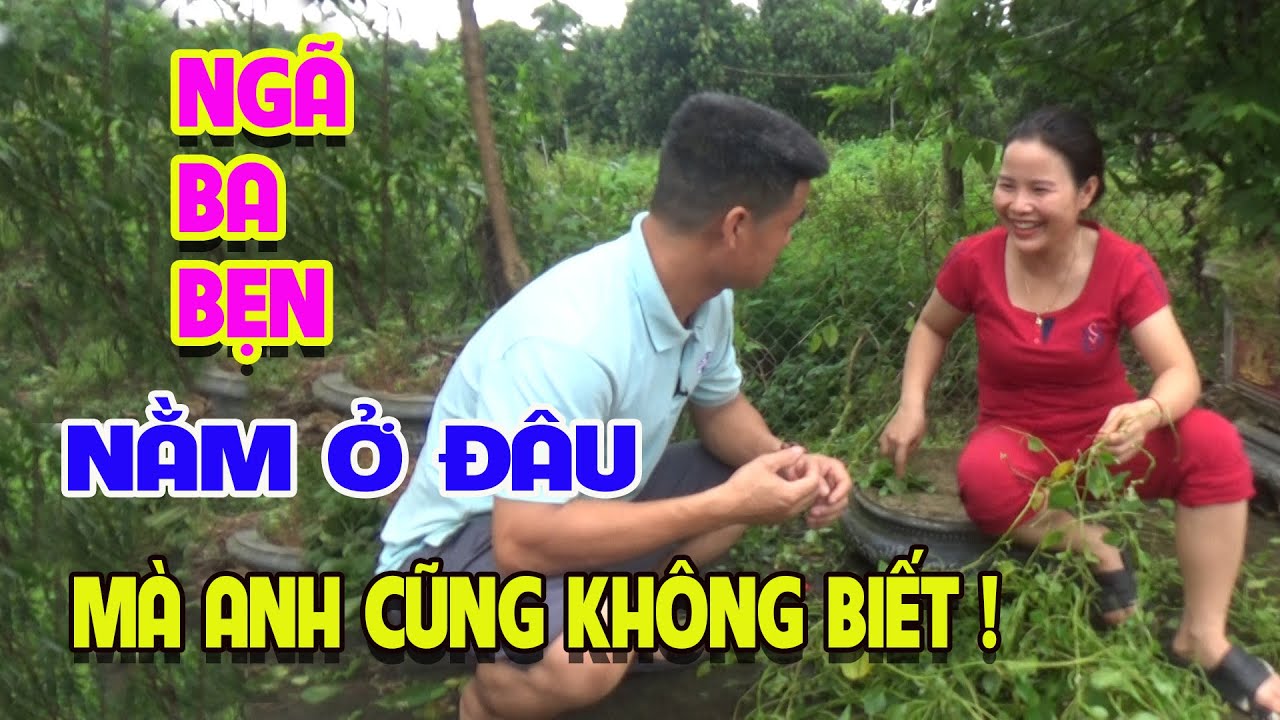 Anh Ngố Hỏi Em Thơ 