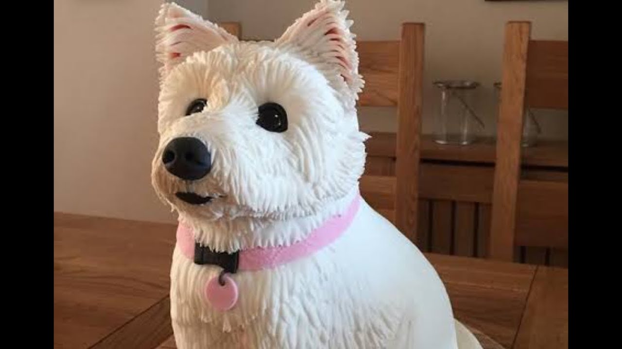 Westie dog Fondant Cake 3D