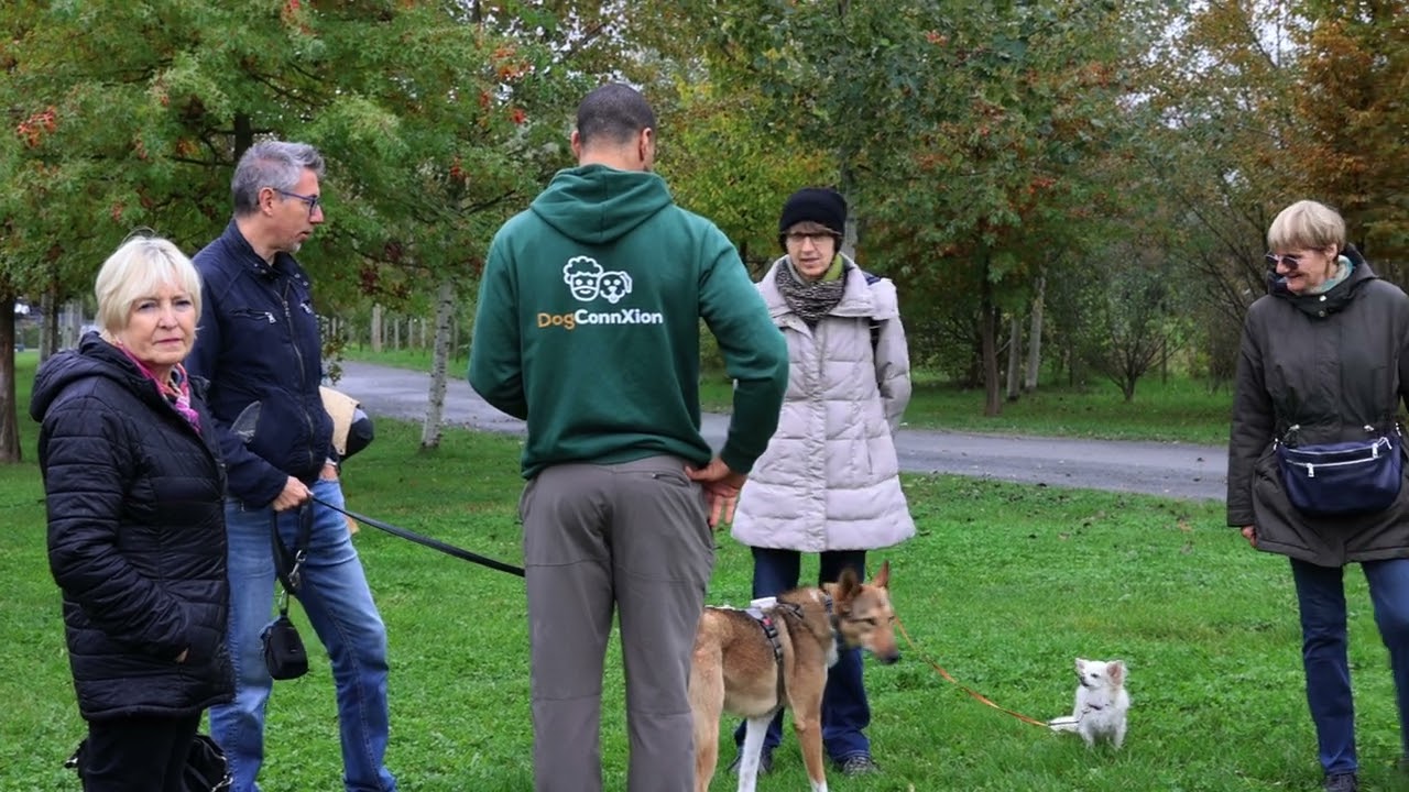 Woofstock - LE 1er Festival du chien à Bruxelles