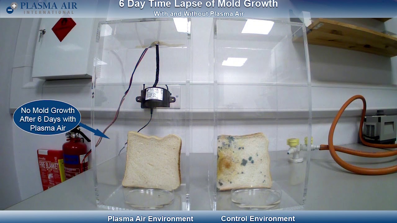 Plasma Air Prevents Mold and Improves Indoor Air Quality with Bipolar Ionization