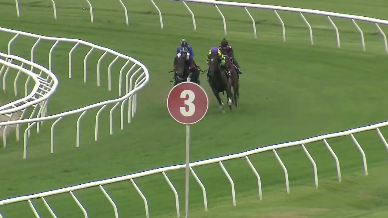 Heat 10   Doomben Jumpouts 2701
