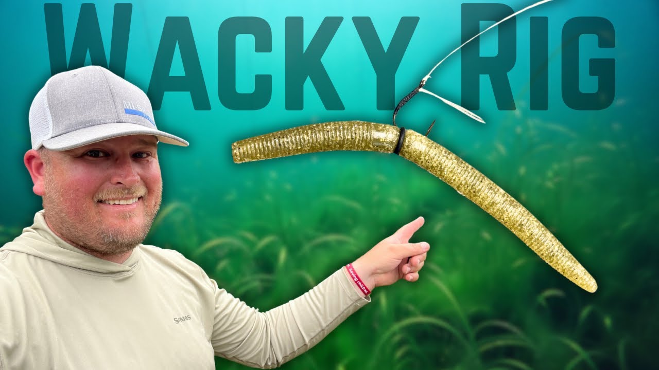 Many Angler Don’t Fish A WACKY RIG Correctly!!  Try These PROVEN Retrieves!