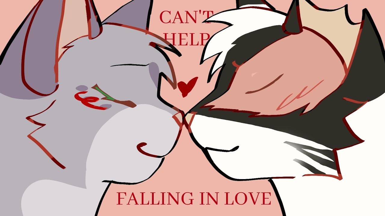 Can't help falling in love | Warrior cats AU - Swiftpaw & Ferncloud