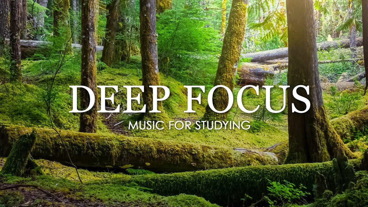 Ambient Study Music To Concentration - 4 часа музыки для учебы, концентрации и памяти