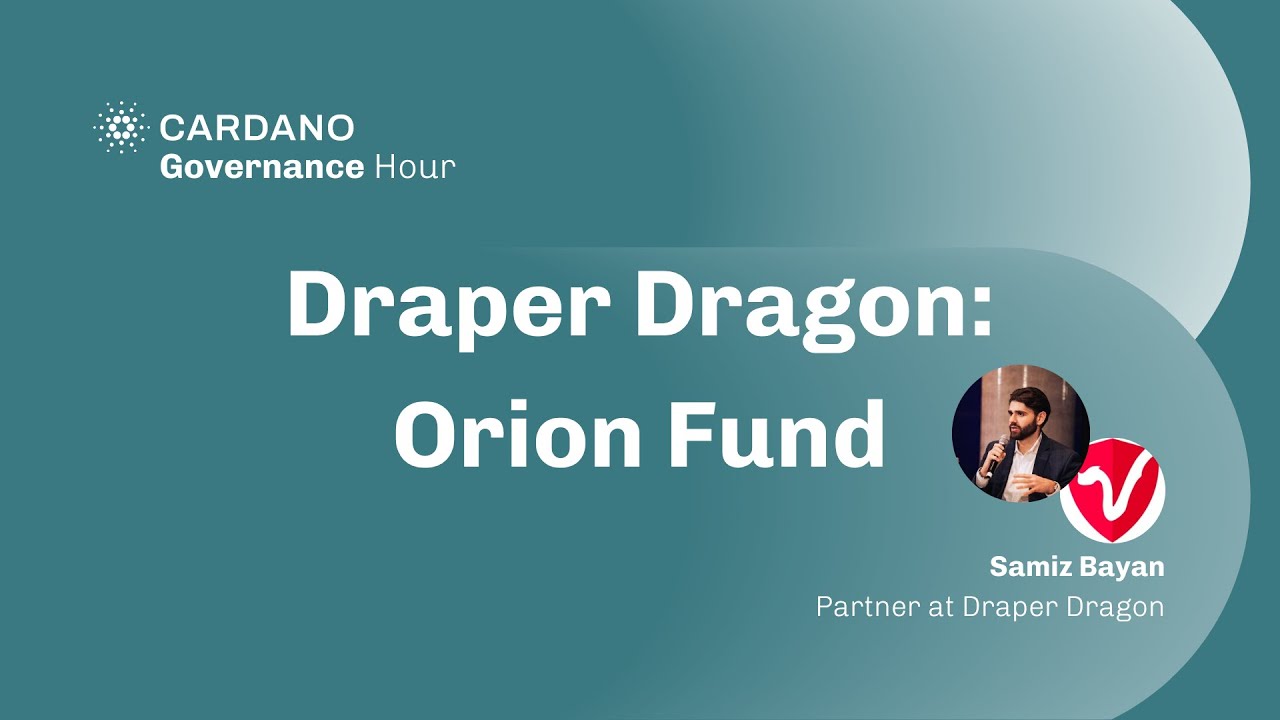 Час управления №2 &mdash; Подробный анализ Cardano x Draper Dragon: фонд Orion