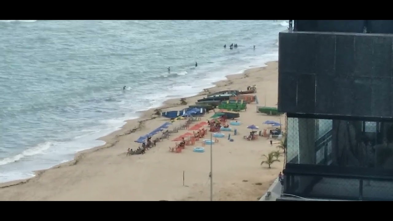 A praia é proibida para a nadar e o povo culpa o tubarão ser humano é difícil