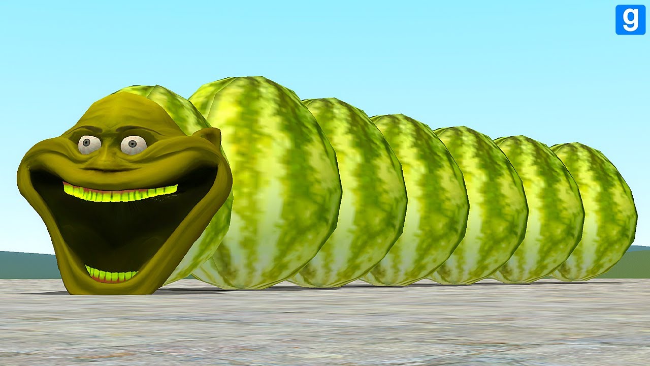 WHAT IF LIN GANG MELON BECOMES HUNGRY LIN GANG MELON WORM FOR ROBLOX In Garry's Mod!