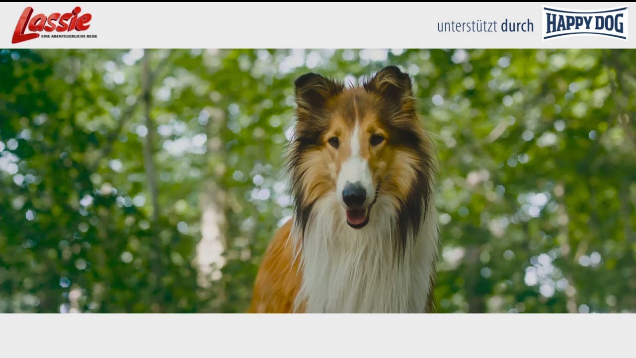 Lassie - der Filmstar privat | unterstützt durch Happy Dog