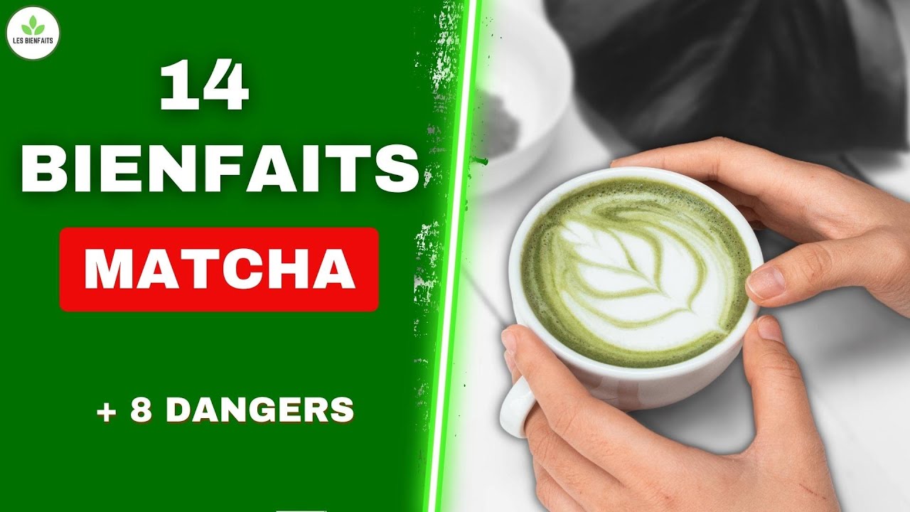 Thé Vert Matcha : Faut-il en boire tous les jours ? (Bienfaits et dangers)