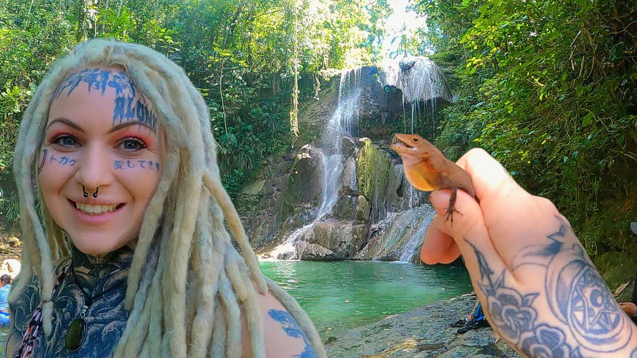 Boricua Pt.2 Waterfall y largartios