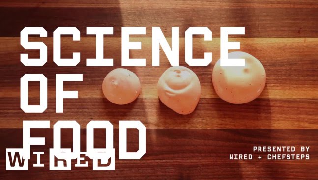 How to Make Super-Classy Culinary Foam, Even if You Aren&rsquo;t Classy | Science of Food