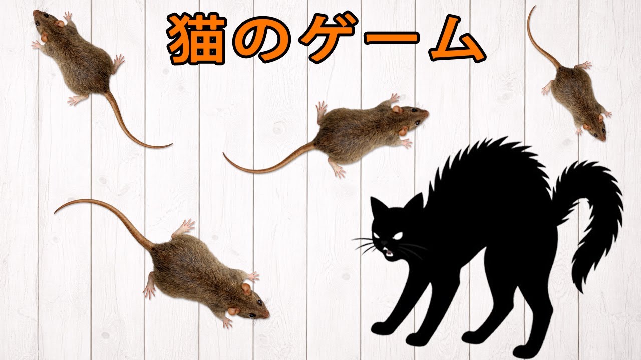 床を走るネズミたち 🐀⚡｜猫のための狩りゲーム映像 Fast Rats on the Floor 🐀⚡ | Ultimate Cat Hunting Screen Game