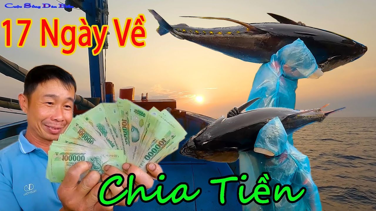 CÂU CÁ GÙ BIỂN HOÀNG SA 21║Kết Thúc 17 Ngày Về Bờ Bán Cá Chia Tiền Cho AE.