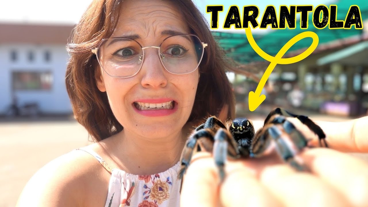 TENGO UNA TARANTOLA VELENOSA TRA LE MANI! Prova di coraggio: mangiarla!