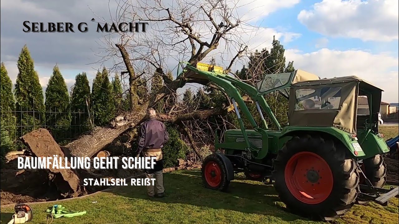 Stahlseil reißt, Baumfällung geht schief | Fendt Farmer im Wald  | Husqvarna im Einsatz