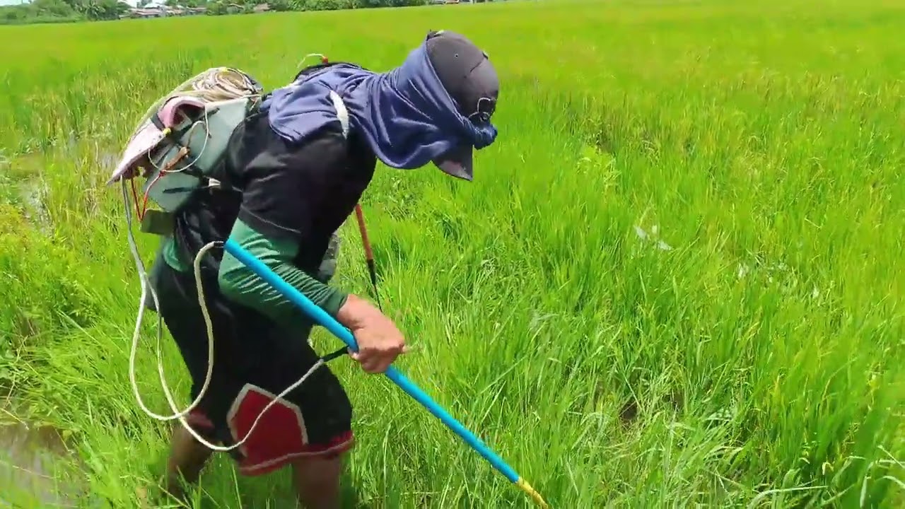 EP,85 electric fishing shout-out muna bago mangisds jockpot ulit🐟🌾