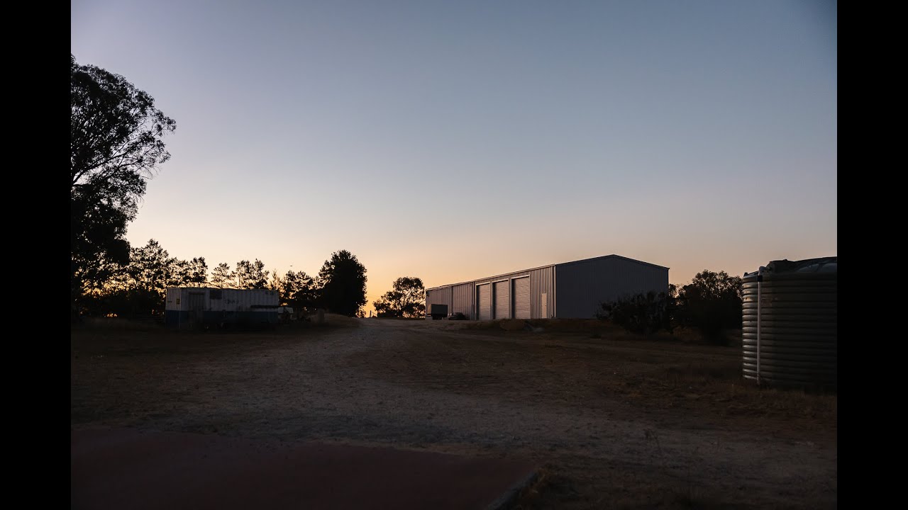 Part 1 - Australian Black Limes - Gingin, Australia, WA