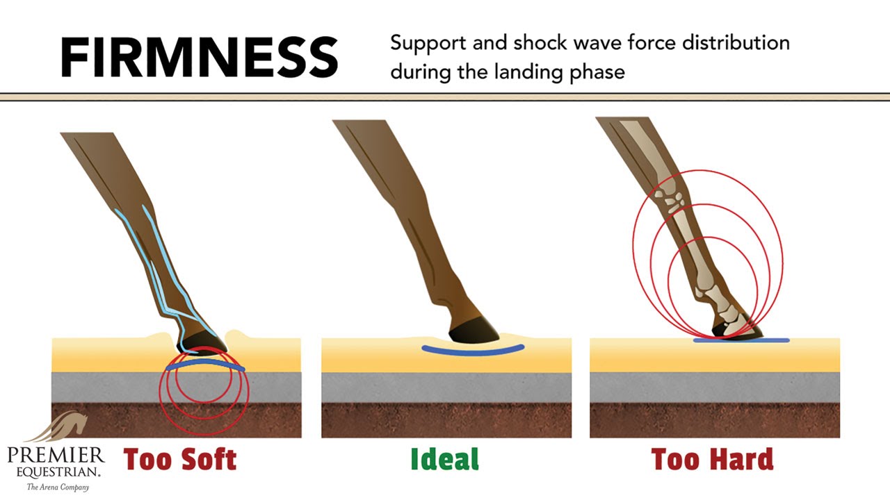 How Riding Arena Surfaces Affect Horse Biomechanics