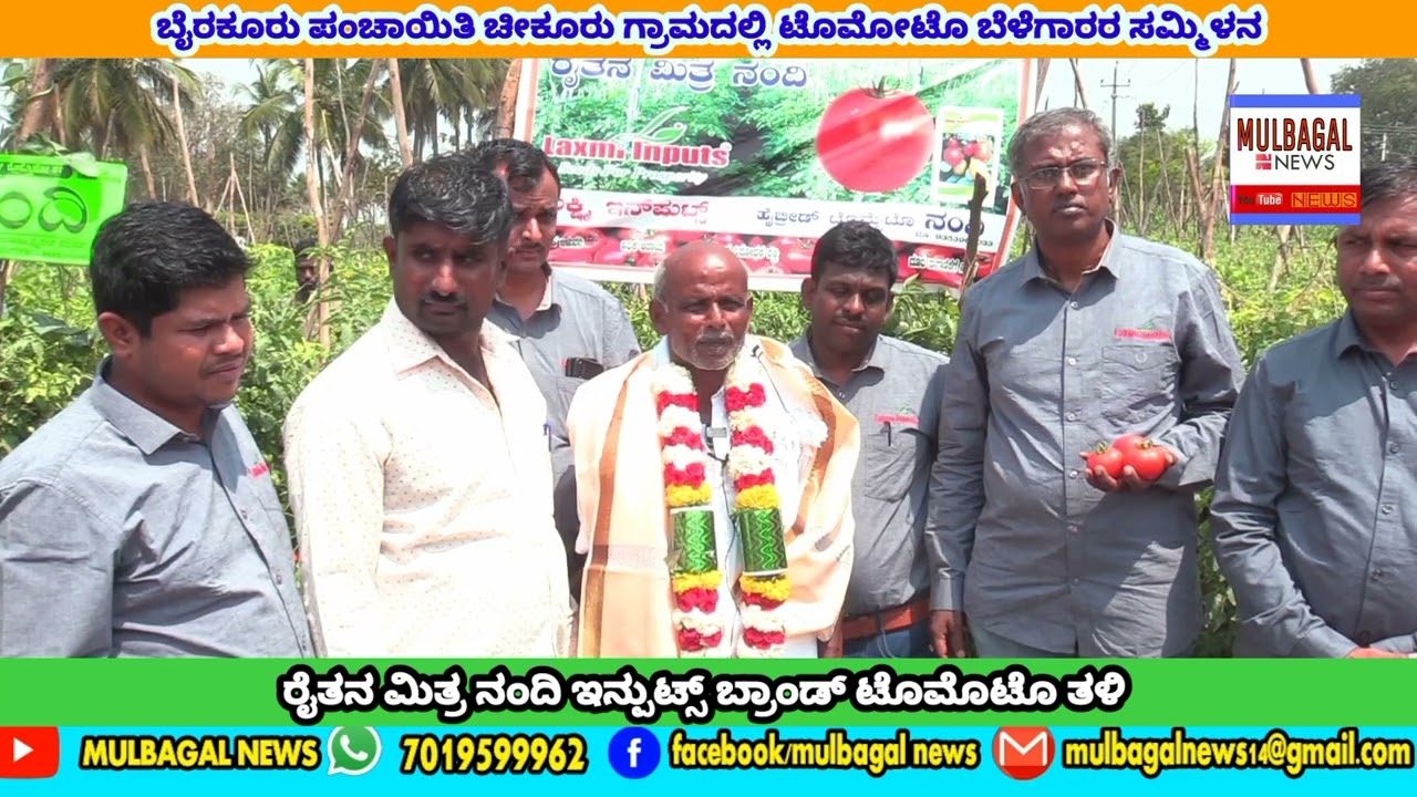 TOMATO : LAKSHMI INPUTS NANDI BRAND