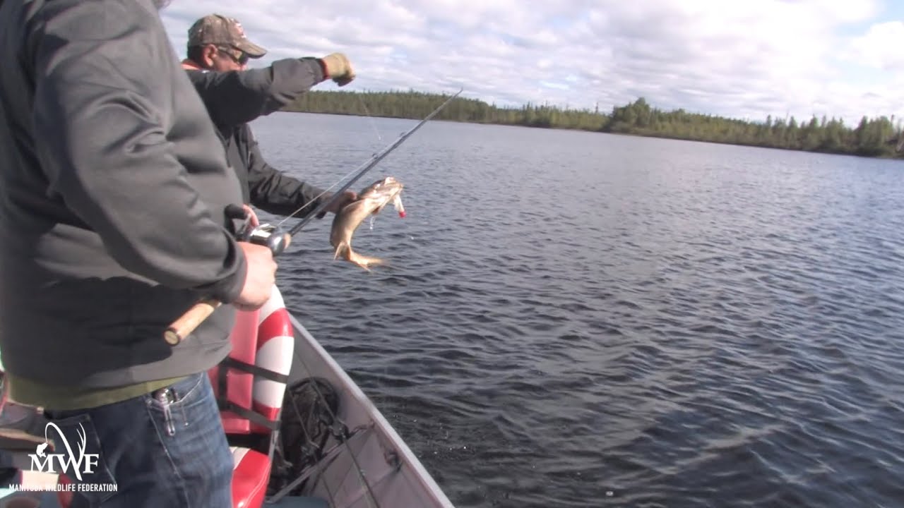 Lake Trout Location Basics