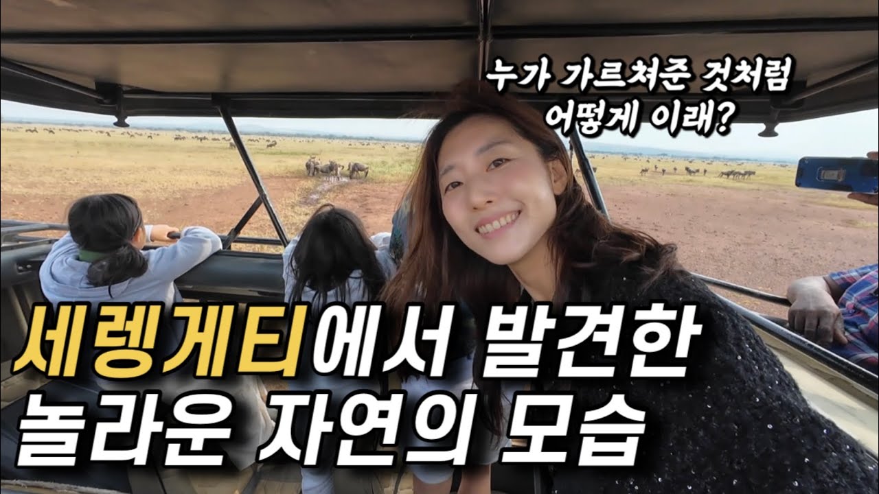 [🇹🇿탄자니아 여행로그03] 드디어 세렝게티에 들어왔습니다 그런데요..