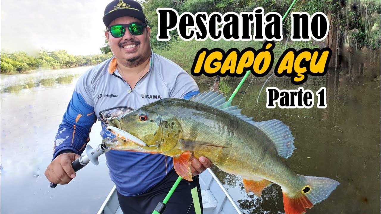 EU MERECIA FAZER UMA PESCARIA ASSIM - Pescaria no Igapó Açu - BR319 (Pescaria Embarcada)