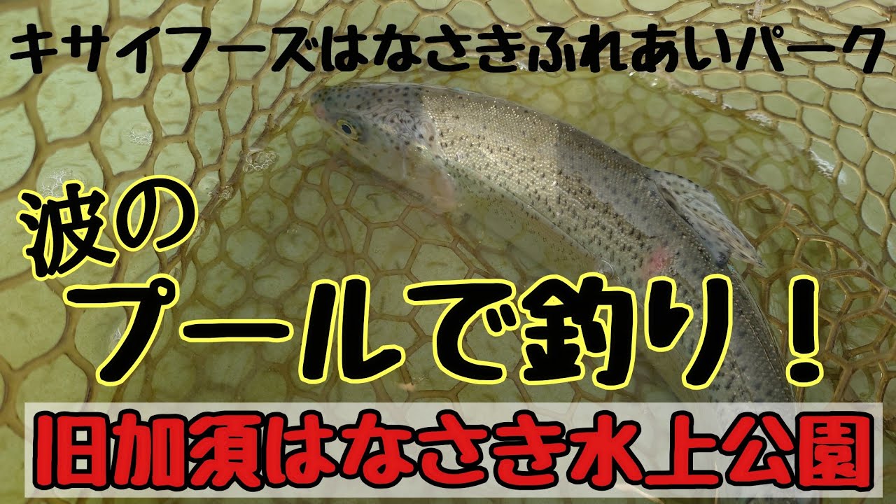 波のプールでフィッシング！旧加須はなさき水上公園　キサイフーズはなさきふれあいパーク！エリアトラウト