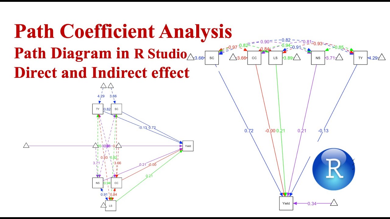 Path Coefficient Analysis | Path Diagram in R Studio | Direct and Indirect effects