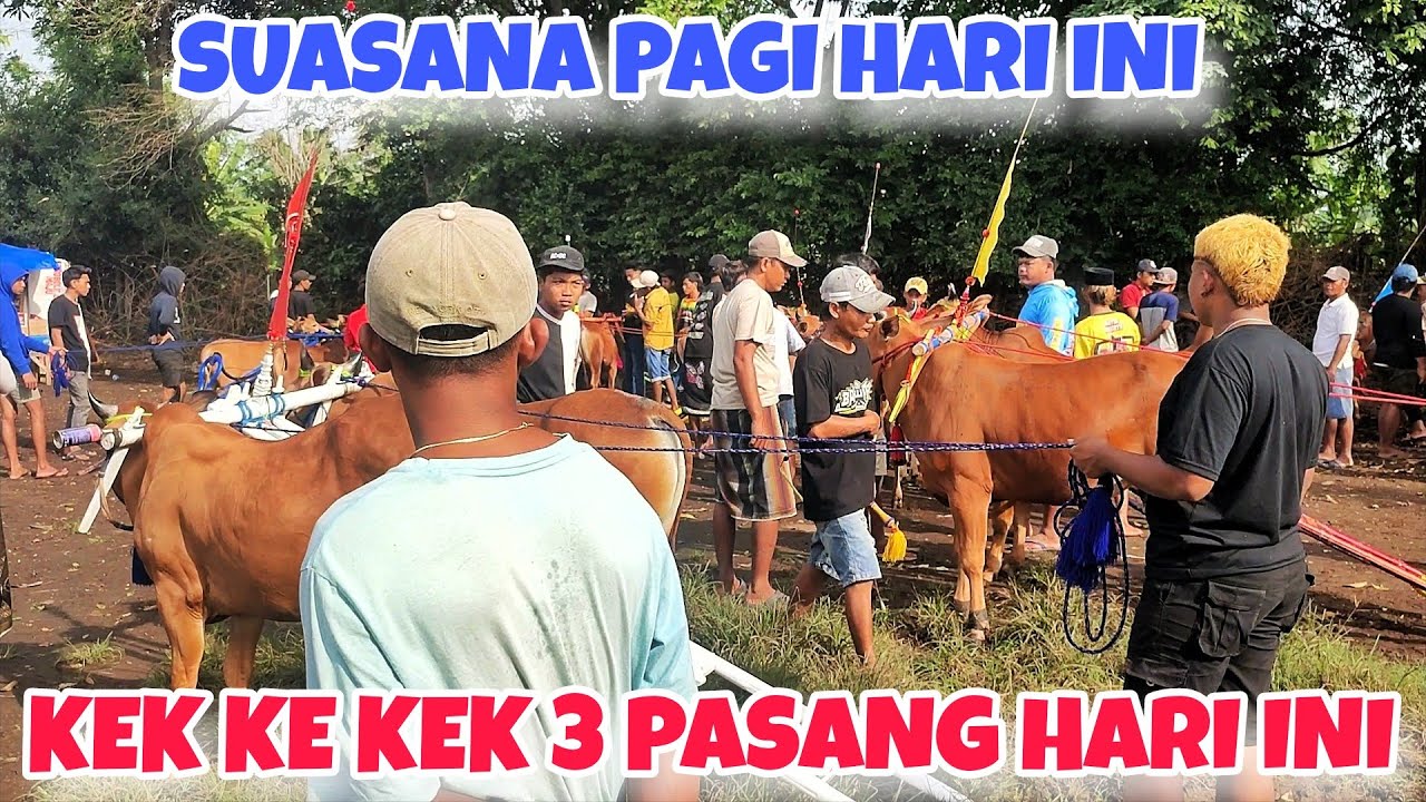 SUANASA PAGI KERAPAN SAPI HUT PERDANA MENTERI || FULL PESERTA HARI INI 🔥🔥
