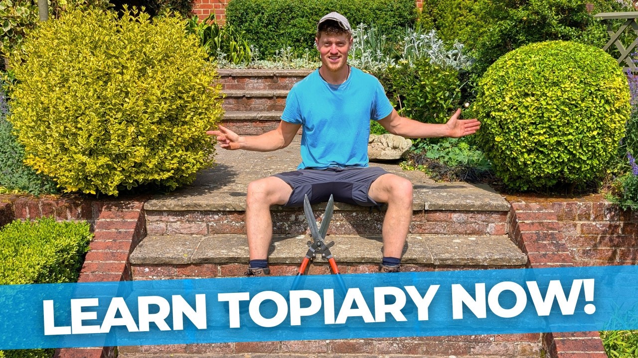 How to Prune a Topiary Ball | Complete Tutorial