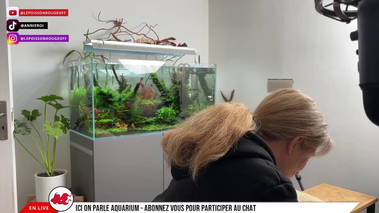 [REPLAY] Aquastream Janvier 2026