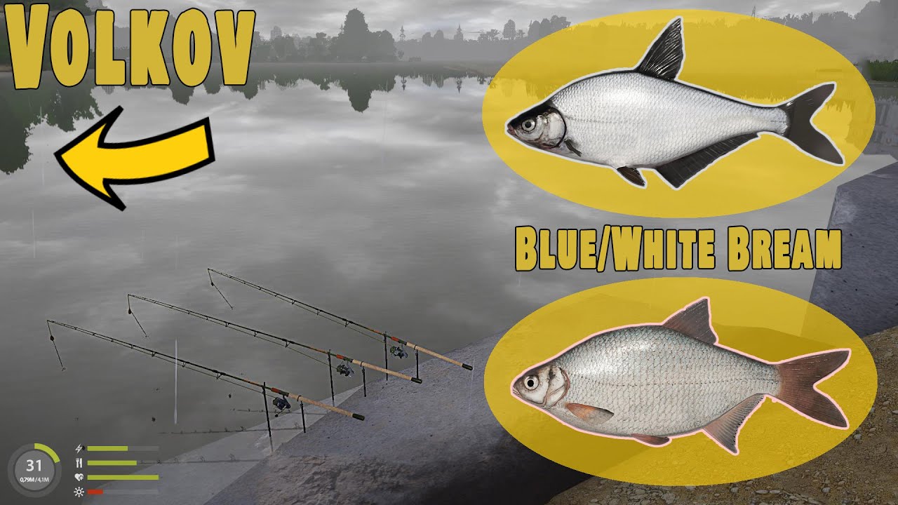 Blue Bream & White Bream - Active Spot Russian Fishing 4