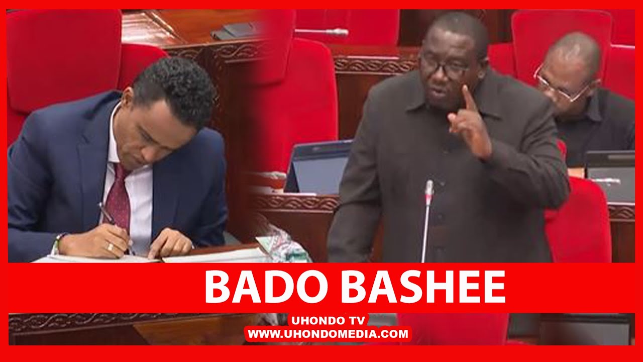 MBUNGE AMPA SOMO WAZIRI BASHE BUNGENI, 